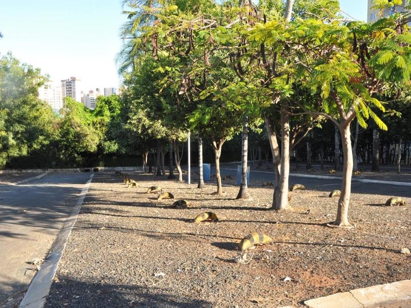 Foto SOL DAS CALDAS